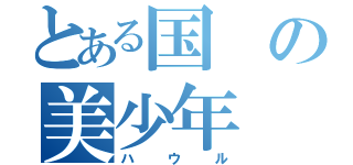 とある国の美少年（ハウル）