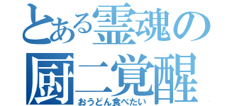 とある霊魂の厨二覚醒（おうどん食べたい）