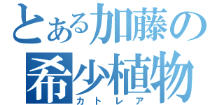 とある加藤の希少植物（カトレア）