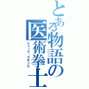 とある物語の医術拳士（ジュード・マティス）