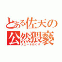 とある佐天の公然猥褻（スカートめくり）