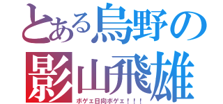 とある烏野の影山飛雄（ボゲェ日向ボゲェ！！！）