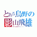 とある烏野の影山飛雄（ボゲェ日向ボゲェ！！！）