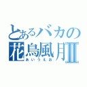 とあるバカの花鳥風月Ⅱ（あいうえお）