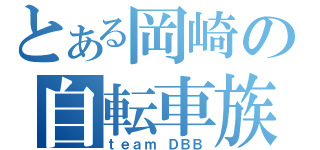 とある岡崎の自転車族（ｔｅａｍ ＤＢＢ）