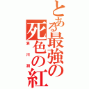 とある最強の死色の紅（哀川潤）