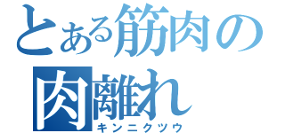 とある筋肉の肉離れ（キンニクツウ）