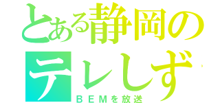 とある静岡のテレしず（ＢＥＭを放送）