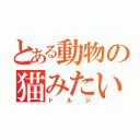 とある動物の猫みたいな（ドルジ）