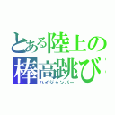 とある陸上の棒高跳び（ハイジャンパー）