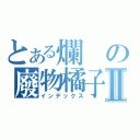 とある爛の廢物橘子Ⅱ（インデックス）