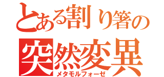 とある割り箸の突然変異（メタモルフォーゼ）