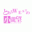 とあるＷＥＳＴの小瀧望（インデックス）