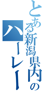 とある新潟県内のハーレー（）