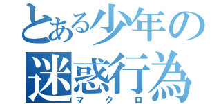 とある少年の迷惑行為（マクロ）