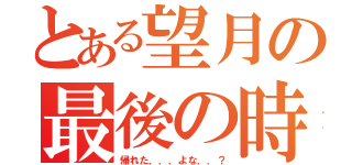 とある望月の最後の時（帰れた．．．よな．．？）