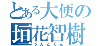 とある大便の垣花智樹（うんこくん）