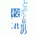 とある字幕组の校訳君（杜王楓）