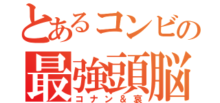 とあるコンビの最強頭脳（コナン＆哀）