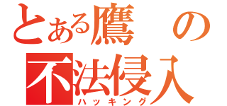 とある鷹の不法侵入（ハッキング）