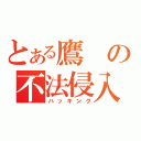 とある鷹の不法侵入（ハッキング）