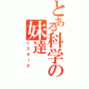 とある科学の妹達（シスターズ）