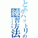 とあるハットリの練習方法（ハトリドリル（笑））