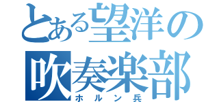 とある望洋の吹奏楽部（ホルン兵）