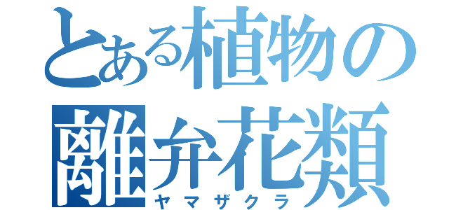 とある植物の離弁花類（ヤマザクラ）