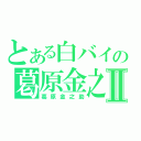 とある白バイの葛原金之助Ⅱ（葛原金之助）