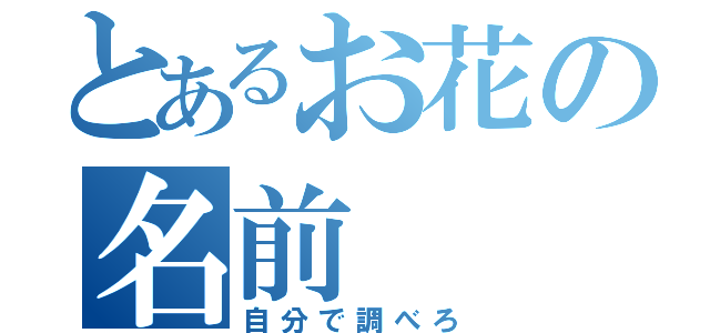 とあるお花の名前（自分で調べろ）