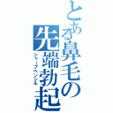 とある鼻毛の先端勃起（シャープペンシル）