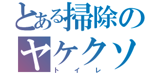 とある掃除のヤケクソ（トイレ）