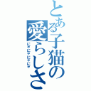 とある子猫の愛らしさ（にゃにゃにゃにゃ）