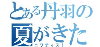 とある丹羽の夏がきた（ニワティス！）