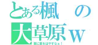 とある楓の大草原ｗ（草に草をはやすなぁ！）