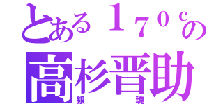 とある１７０ｃｍの高杉晋助（銀魂）