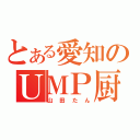 とある愛知のＵＭＰ厨（山田たん）