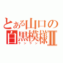 とある山口の白黒模様Ⅱ（ランラン）