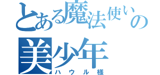 とある魔法使いの美少年（ハウル様）