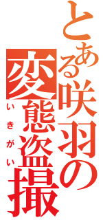 とある咲羽の変態盗撮（いきがい）