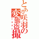 とある咲羽の変態盗撮（いきがい）