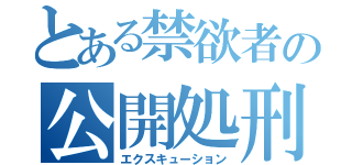 とある禁欲者の公開処刑（エクスキューション）