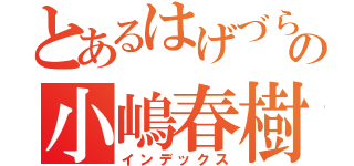 とあるはげづらの小嶋春樹（インデックス）