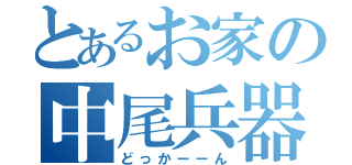 とあるお家の中尾兵器（どっかーーん）