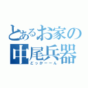 とあるお家の中尾兵器（どっかーーん）