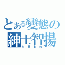 とある變態の紳士智揚（ｈ是對的）