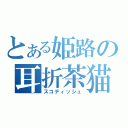 とある姫路の耳折茶猫（スコティッシュ）