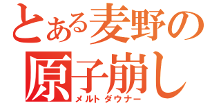 とある麦野の原子崩し（メルトダウナー）