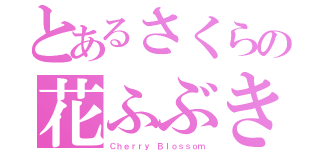 とあるさくらの花ふぶき（Ｃｈｅｒｒｙ Ｂｌｏｓｓｏｍ）